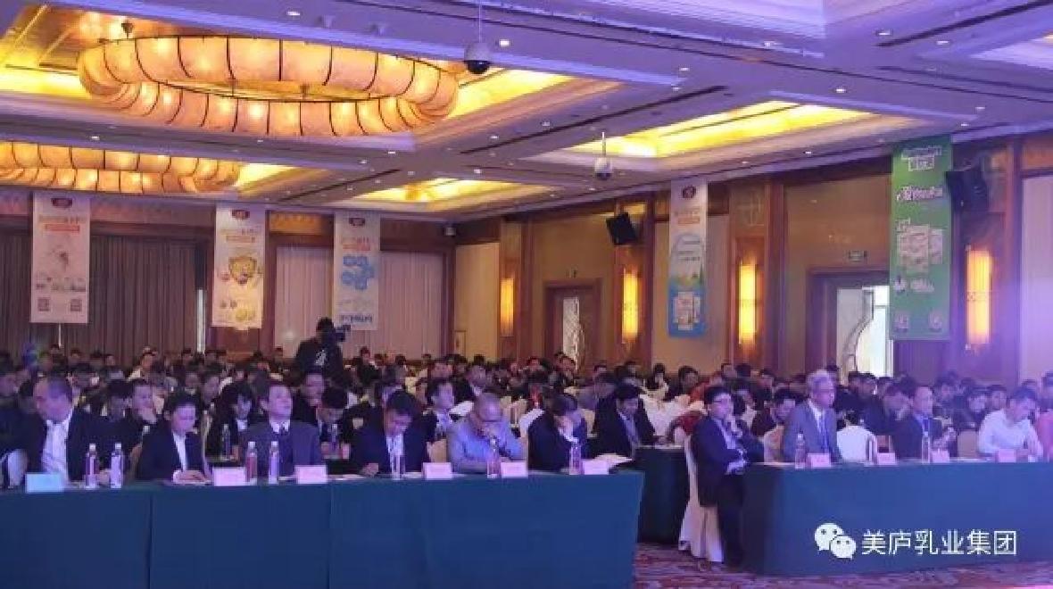 新政下乳粉行业风云变幻 suncitygroup集团誓作新黑马